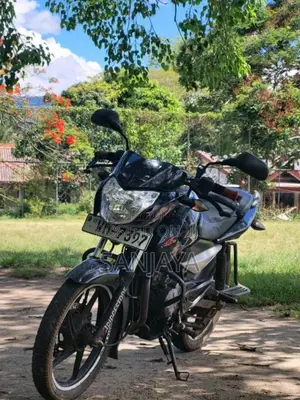 Bajaj Pulsar 135 Ls 2010 Motorbike (Used)