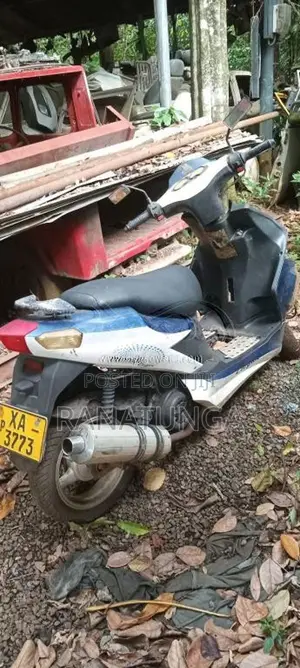 Minnelli ELEGANCE 2010 Motorbike Brand New