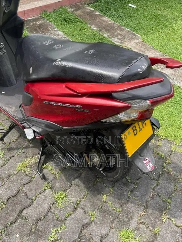 Honda Grazia DX 2019 Motorbike (Used)