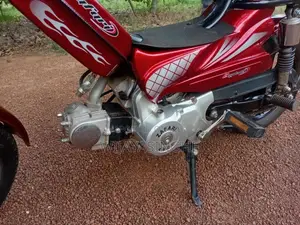 Singer Safari 2025 Motorbike (Used)