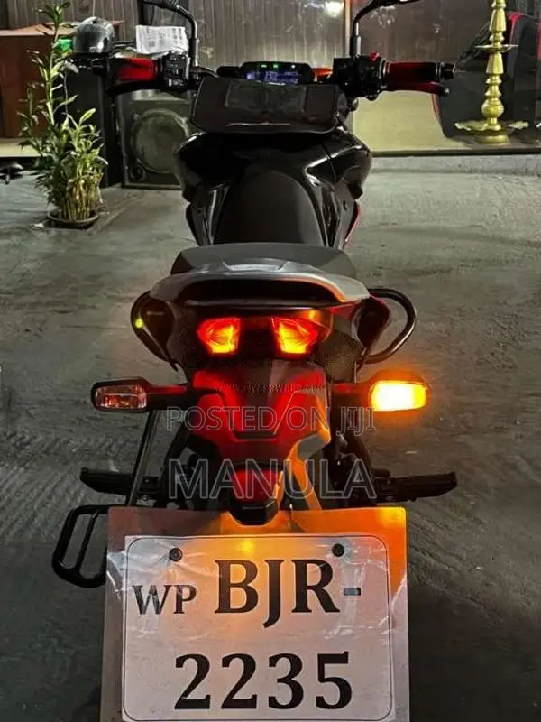 Bajaj Pulsar 125 2025 Motorbike (Used)