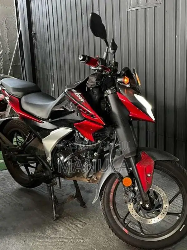 Bajaj Pulsar 125 2025 Motorbike (Used)