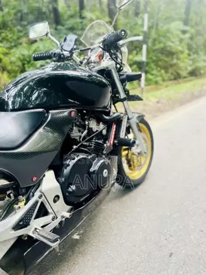 Honda Hornet 2010 Motorbike (Used)