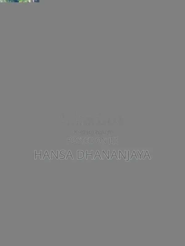 Honda Dio 2018 Motorbike (Used)