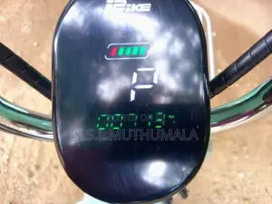 Other TMR E- 2024 Motorbike (Used)