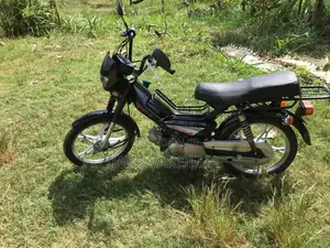Singer Safari 4S 2020 Motorbike (Used)