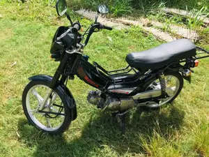 Singer Safari 4S 2020 Motorbike (Used)