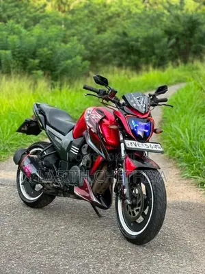 Yamaha Fz 2009 Motorbike (Used)