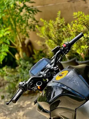 Yamaha MT-15 2019 Motorbike (Used)