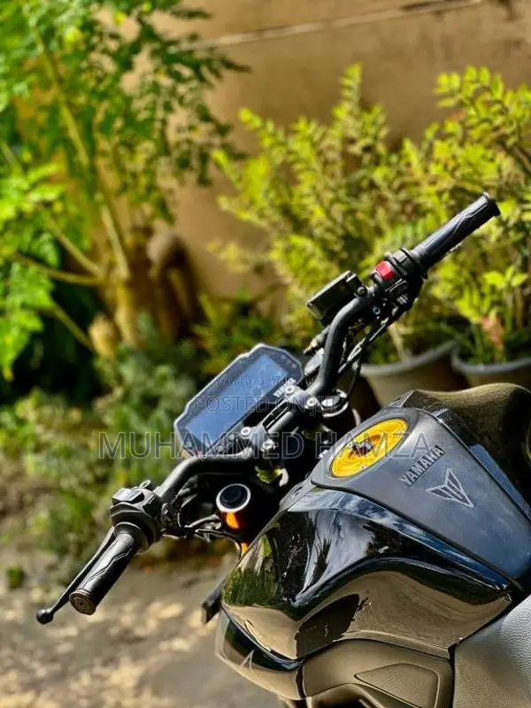 Yamaha MT-15 2019 Motorbike (Used)