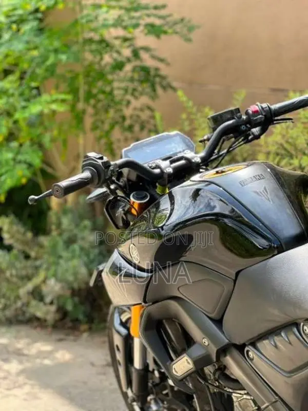 Yamaha MT-15 2019 Motorbike (Used)