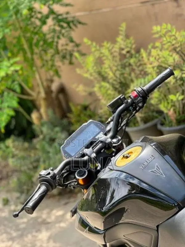 Yamaha MT-15 2019 Motorbike (Used)