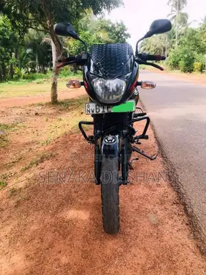 Bajaj Pulsar 150 2019 Motorbike (Used)
