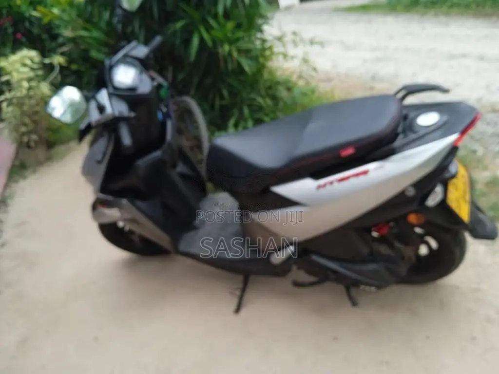 TVS Ntorq 2019 Motorbike (Used)