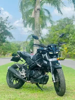 Yamaha MT-15 2019 Motorbike (Used)