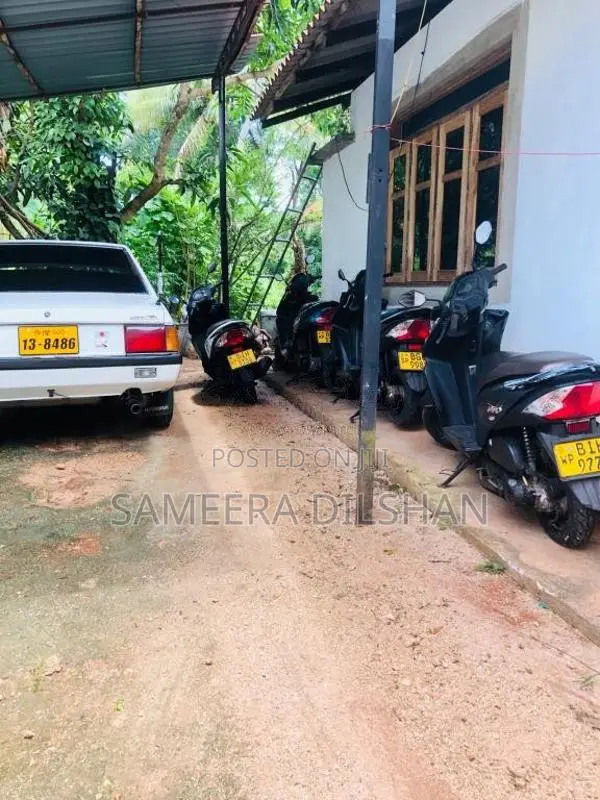Honda Dio 2019 Motorbike (Used)