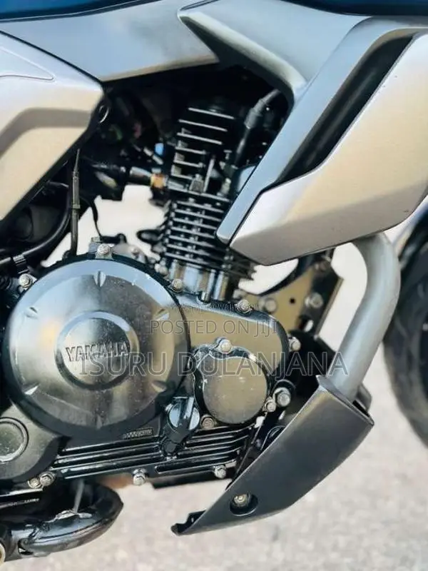 Yamaha FZ-S 2019 Motorbike (Used)