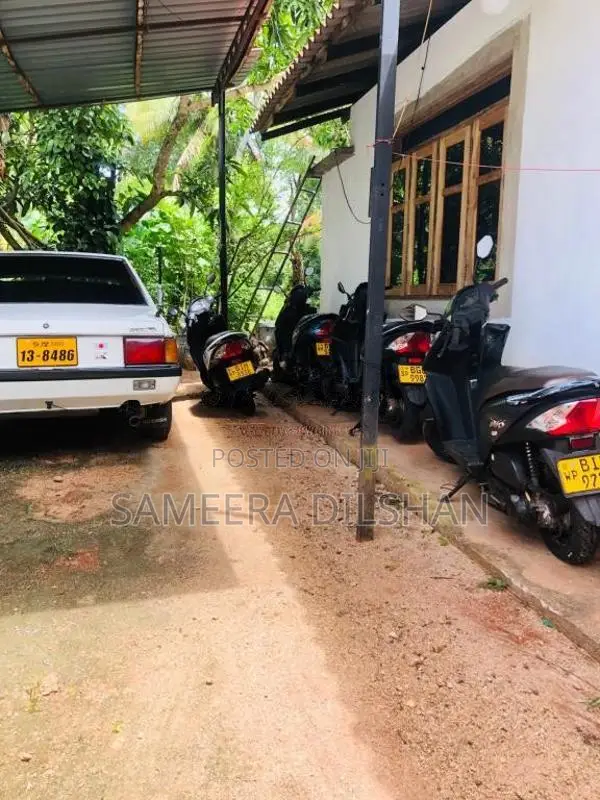 Honda Dio 2019 Motorbike (Used)
