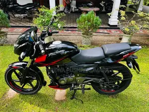 Bajaj Pulsar 150 2019 Motorbike (Used)