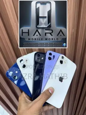 Apple iPhone 12 (Used)