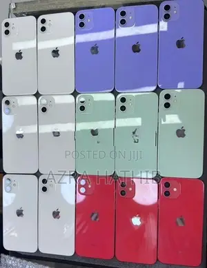 Apple iPhone 12 (Used)