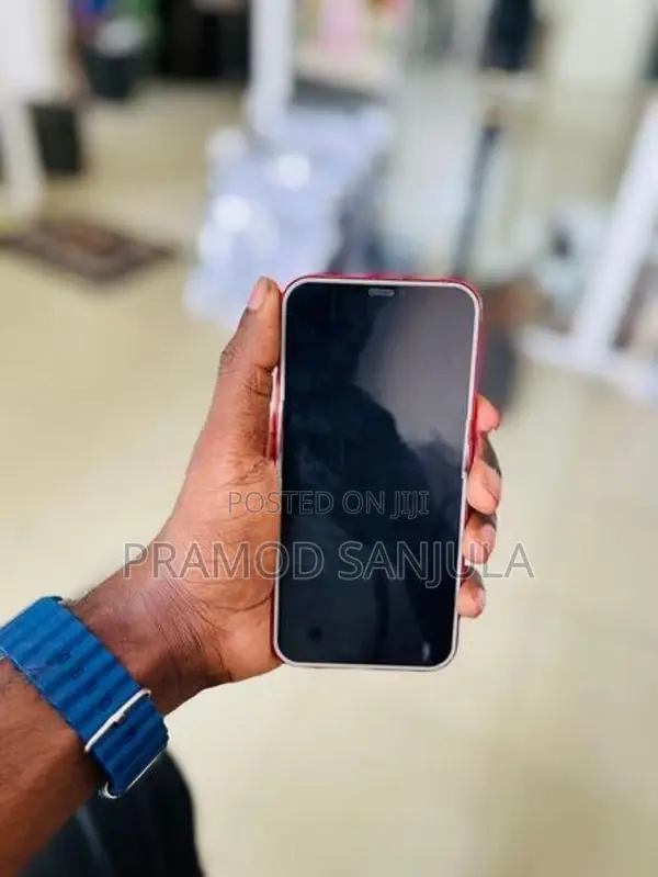 Apple iPhone 12 (Used)
