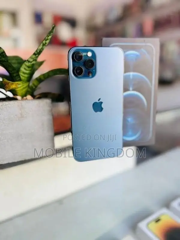 Apple iPhone 12 Pro Max 256GB Fullset Box (Used)