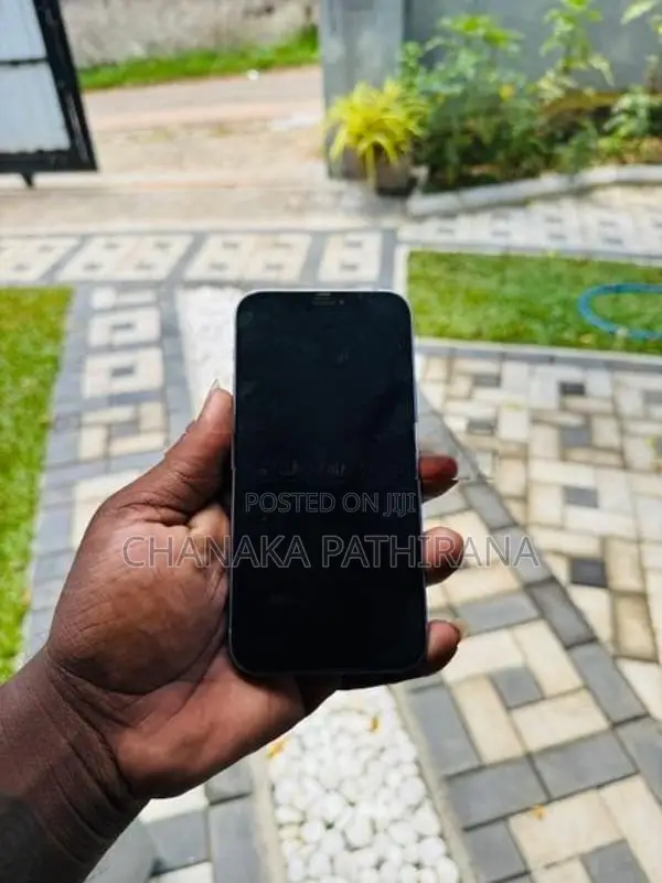 Apple iPhone 12 128GB (Used)