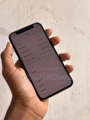 Apple iPhone 12 mini (Used)