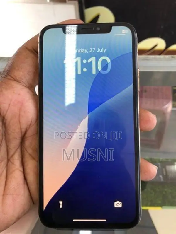 Apple iPhone XS 256GB (Used)