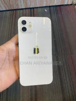Apple iPhone 12 (Used)