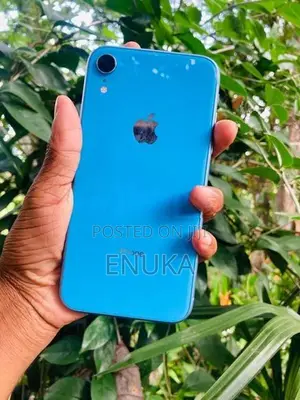 Apple iPhone XR (Used)