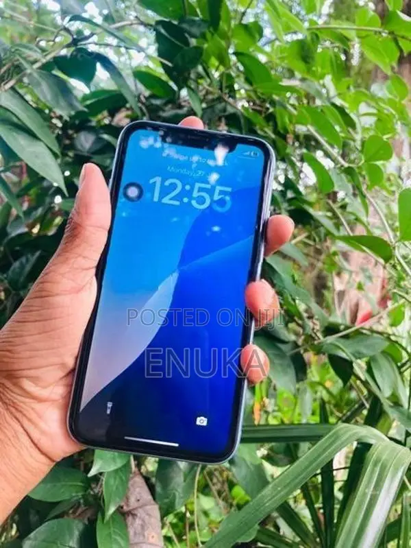 Apple iPhone XR (Used)