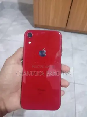 Apple iPhone XR (Used)