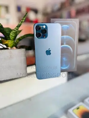 Apple iPhone 12 Pro Max 256GB Fullset Box (Used)