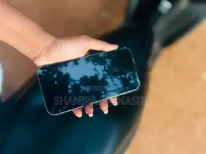 Apple iPhone 14 Pro Max (Used)