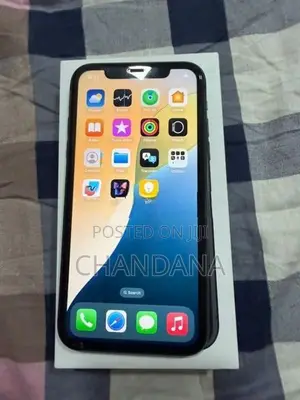 Apple iPhone 11 (Used)