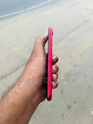 Apple iPhone XR (Used)
