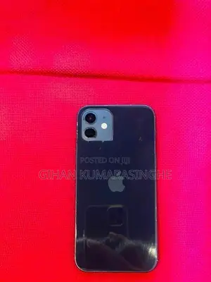 Apple iPhone 12 256GB (Used)