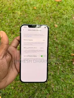 Apple iPhone 12 Pro Max 256GB (Used)