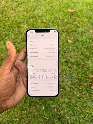 Apple iPhone 12 Pro Max 256GB (Used)