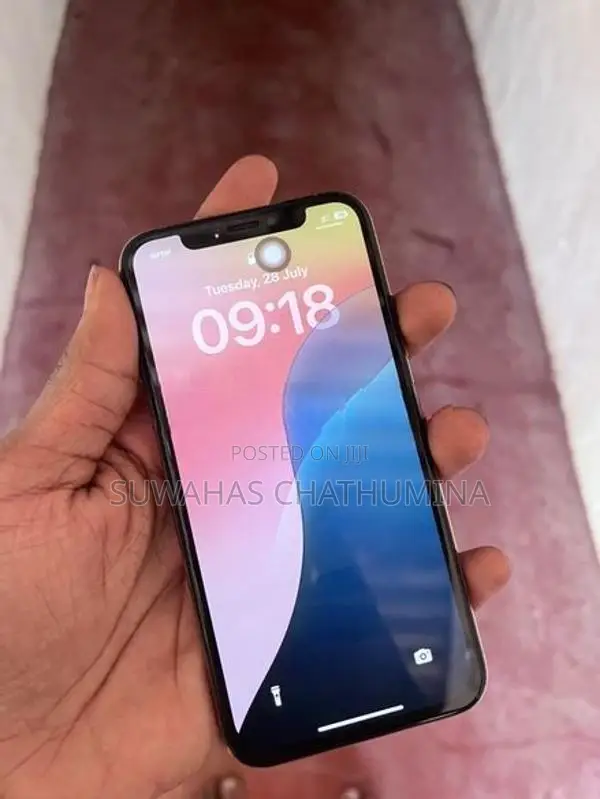 Apple iPhone XS 256Gb (Used)