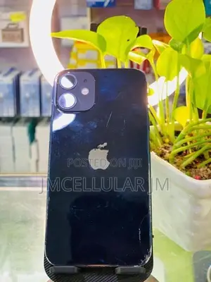 Apple iPhone 12 mini (Used)