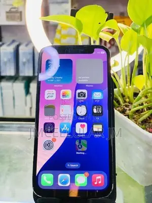 Apple iPhone 12 mini (Used)