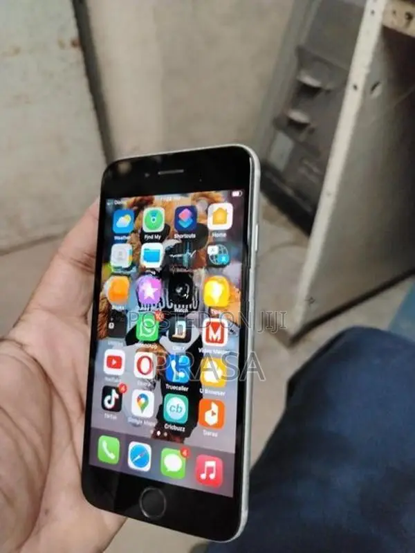 Apple iPhone 6S (Used)