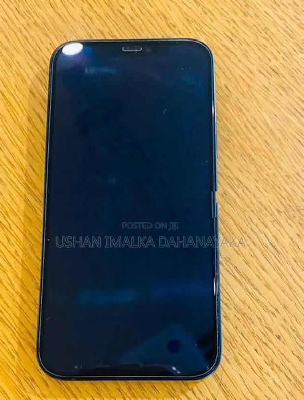 Apple iPhone 12 (Used)