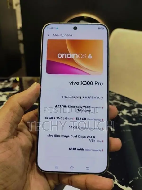 Vivo X300 Pro Chinese (Used)