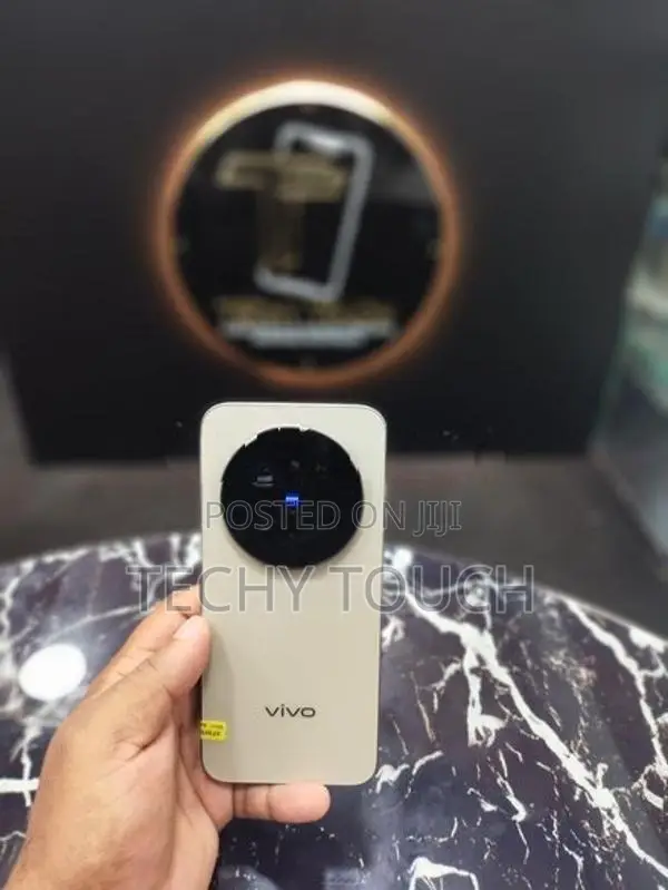 Vivo X300 Pro Chinese (Used)