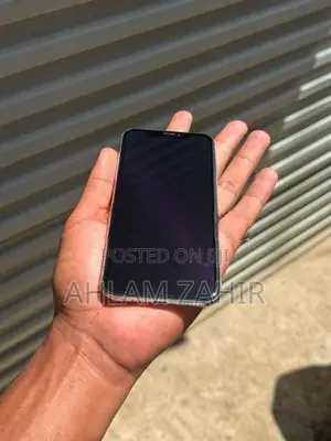 Apple iPhone XS 256GB (Used)