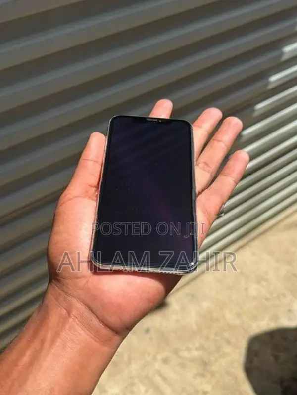 Apple iPhone XS 256GB (Used)